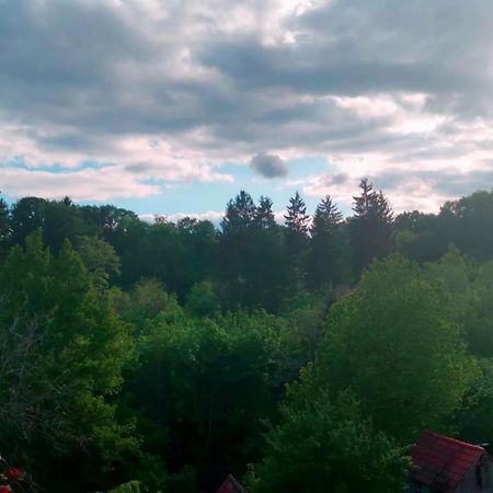 Ferienwohnung Im Manbach フロイデンシュタット エクステリア 写真
