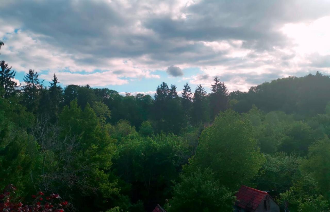 Ferienwohnung Im Manbach フロイデンシュタット エクステリア 写真