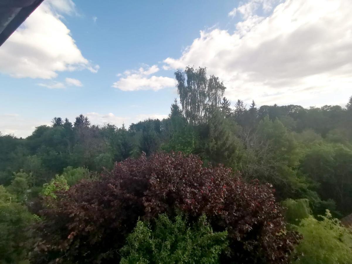 Ferienwohnung Im Manbach フロイデンシュタット エクステリア 写真